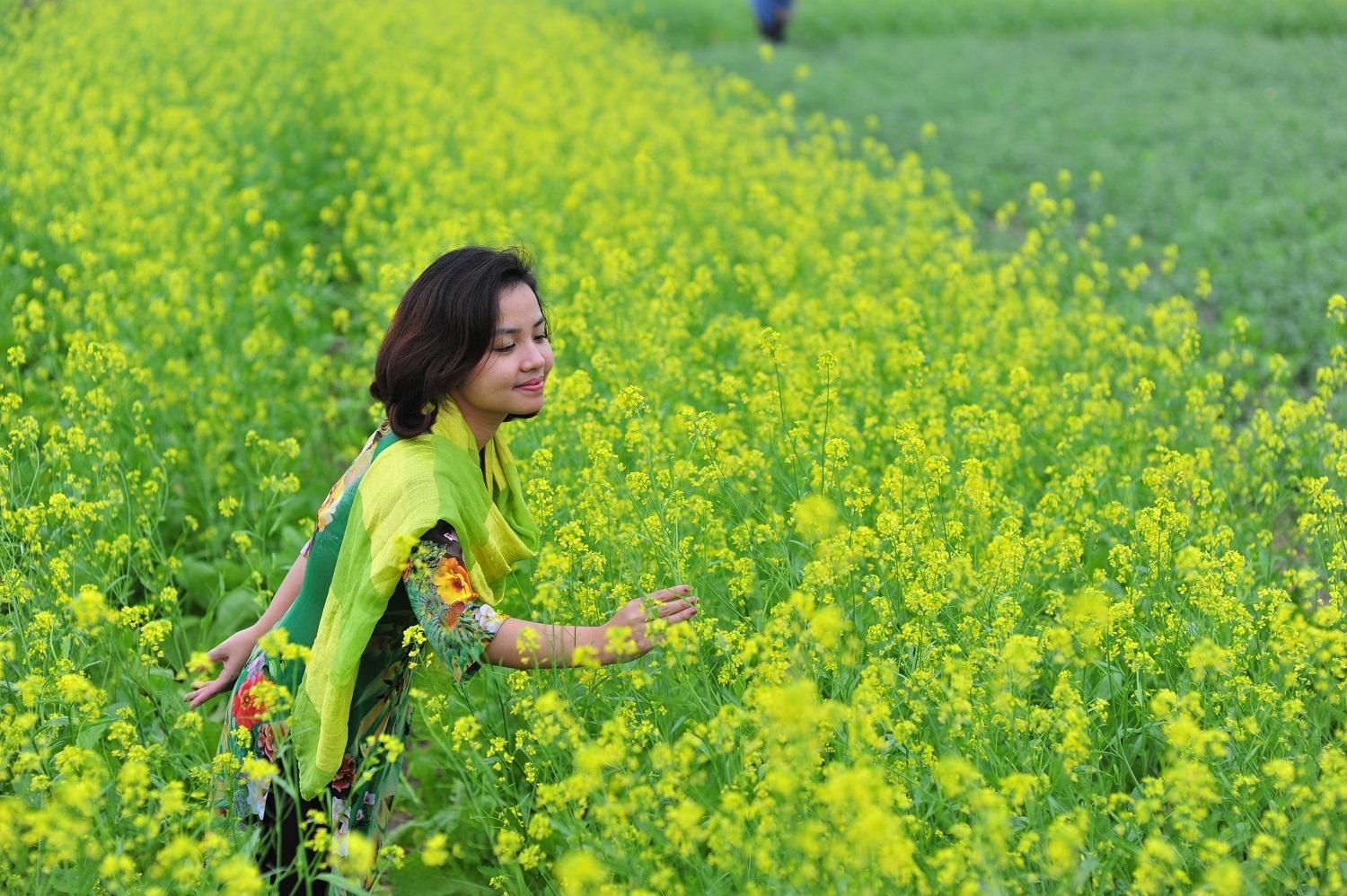 Hà Giang có bao nhiêu dân tộc sinh sống ảnh 7 Ha Giang co bao nhieu dan toc sinh song anh 7