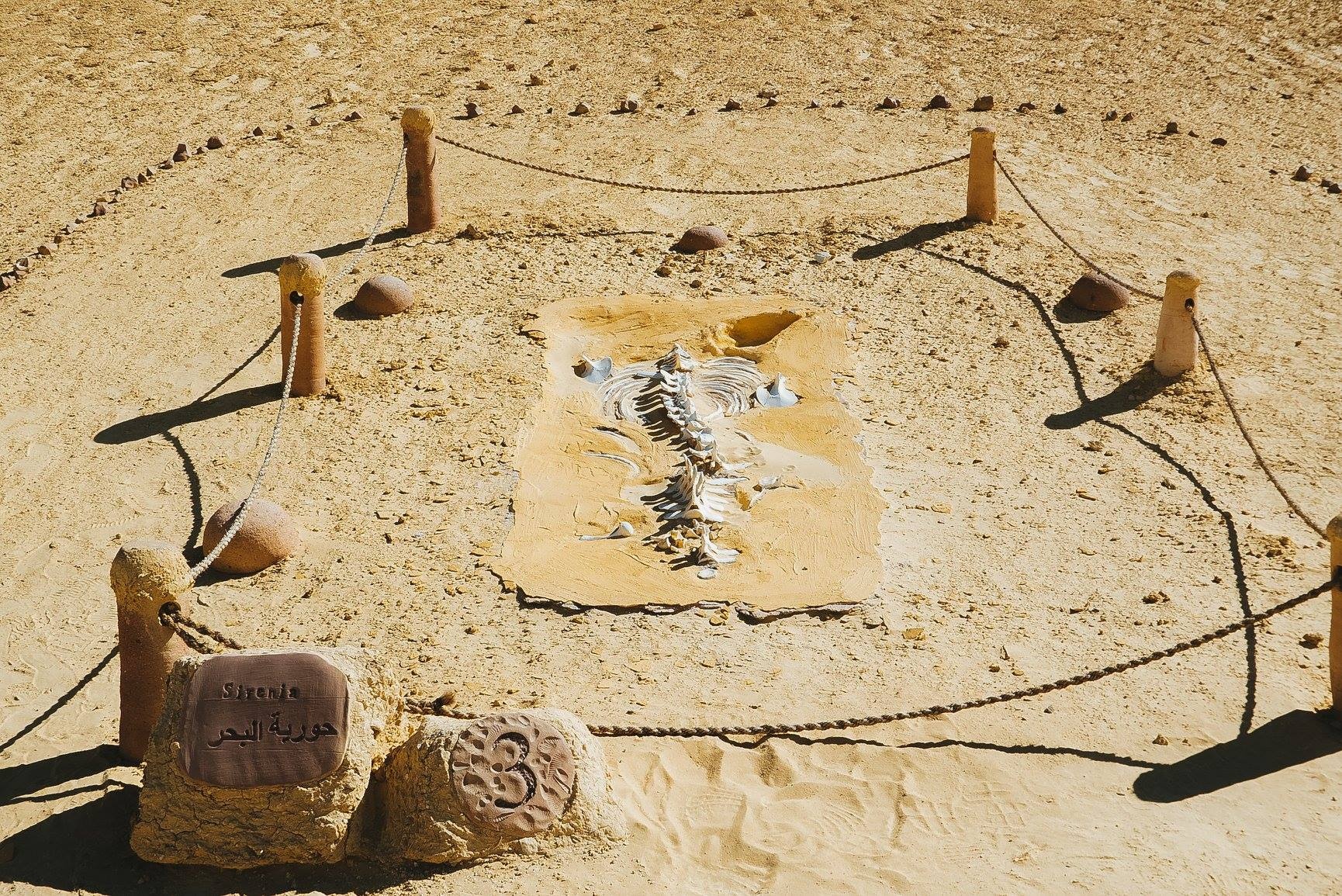 Lich trinh du lich Ai Cap anh 35