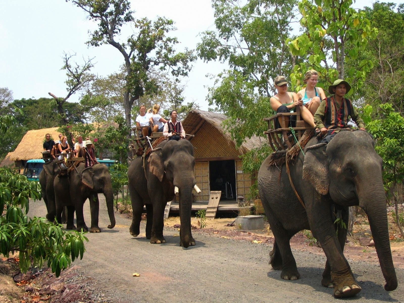 Du lịch Tây Nguyên ảnh 5 Du lich Tay Nguyen anh 5