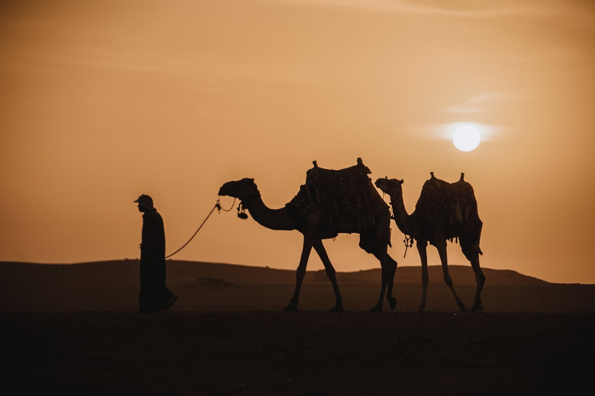 Lich trinh du lich Ai Cap anh 16