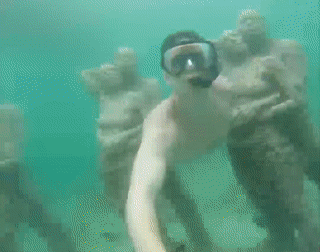 Khu vuon dieu khac duoi day bien o Indonesia hinh anh