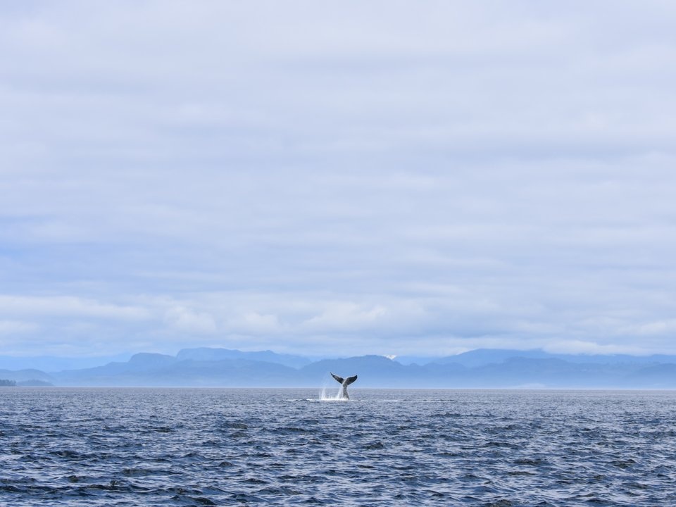 Khu nghi duong nha giau cung phai xep hang 2 nam moi den luot anh 13