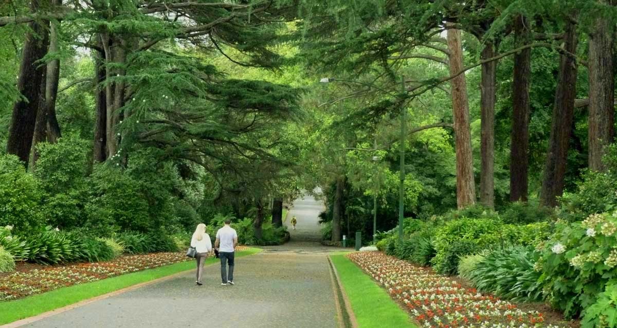 Vienna danh bai Melbourne,  Ha Noi dang song thu 107 anh 2