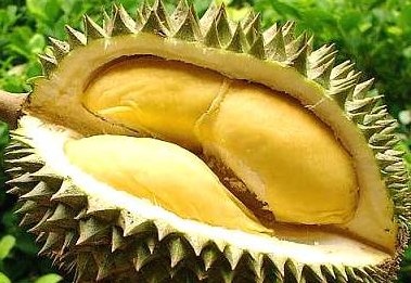 Sau rieng - mon an pho bien o Indonesia hinh anh