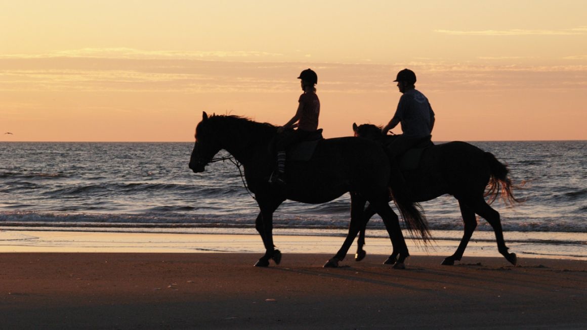 Noi cho du khach dung giua hai vung bien khac nhau anh 10
