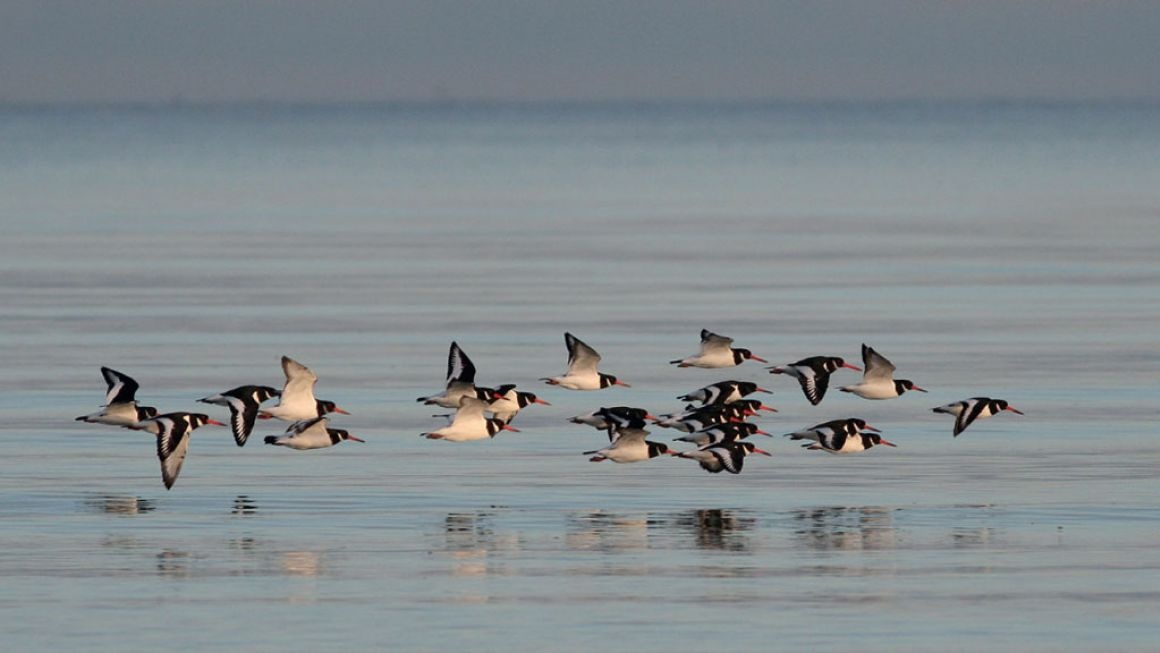 Noi cho du khach dung giua hai vung bien khac nhau anh 12