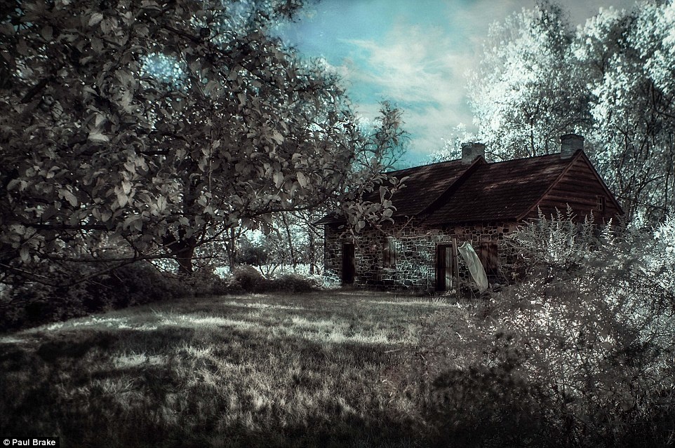 Bo anh New York ma mi anh 12