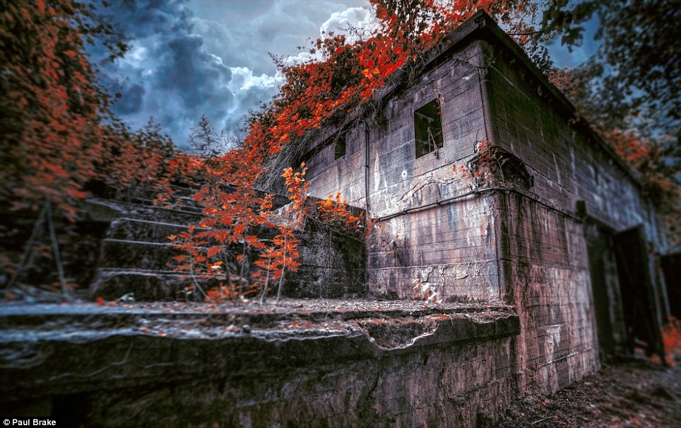 Bo anh New York ma mi anh 4