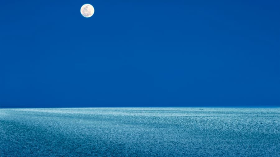 Sa mac muoi khong lo cua An Do hut khach nho ve sieu thuc anh 7