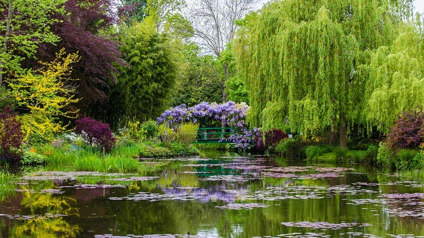 8 diem den co that trong nhung buc hoa lung danh anh 8