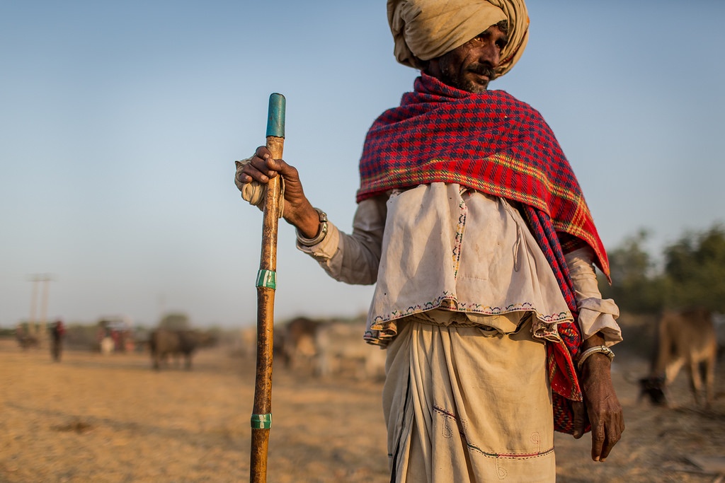 Sa mac muoi khong lo cua An Do hut khach nho ve sieu thuc anh 9