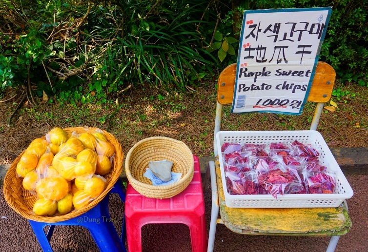 Trải nghiệm đảo Jeju Hàn Quốc ảnh 12 Trai nghiem dao Jeju Han Quoc anh 12