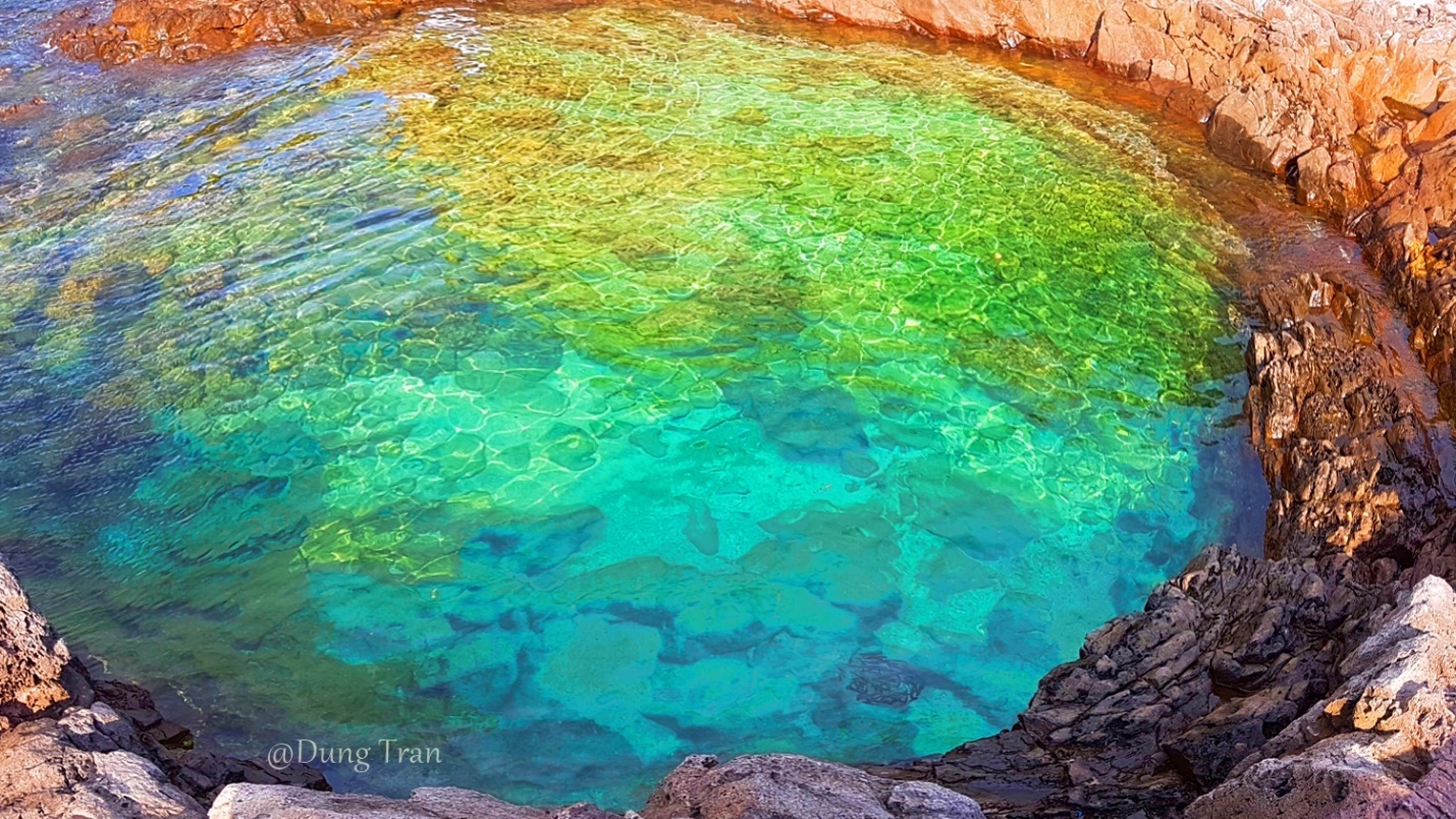 Trải nghiệm đảo Jeju Hàn Quốc ảnh 13 Trai nghiem dao Jeju Han Quoc anh 13