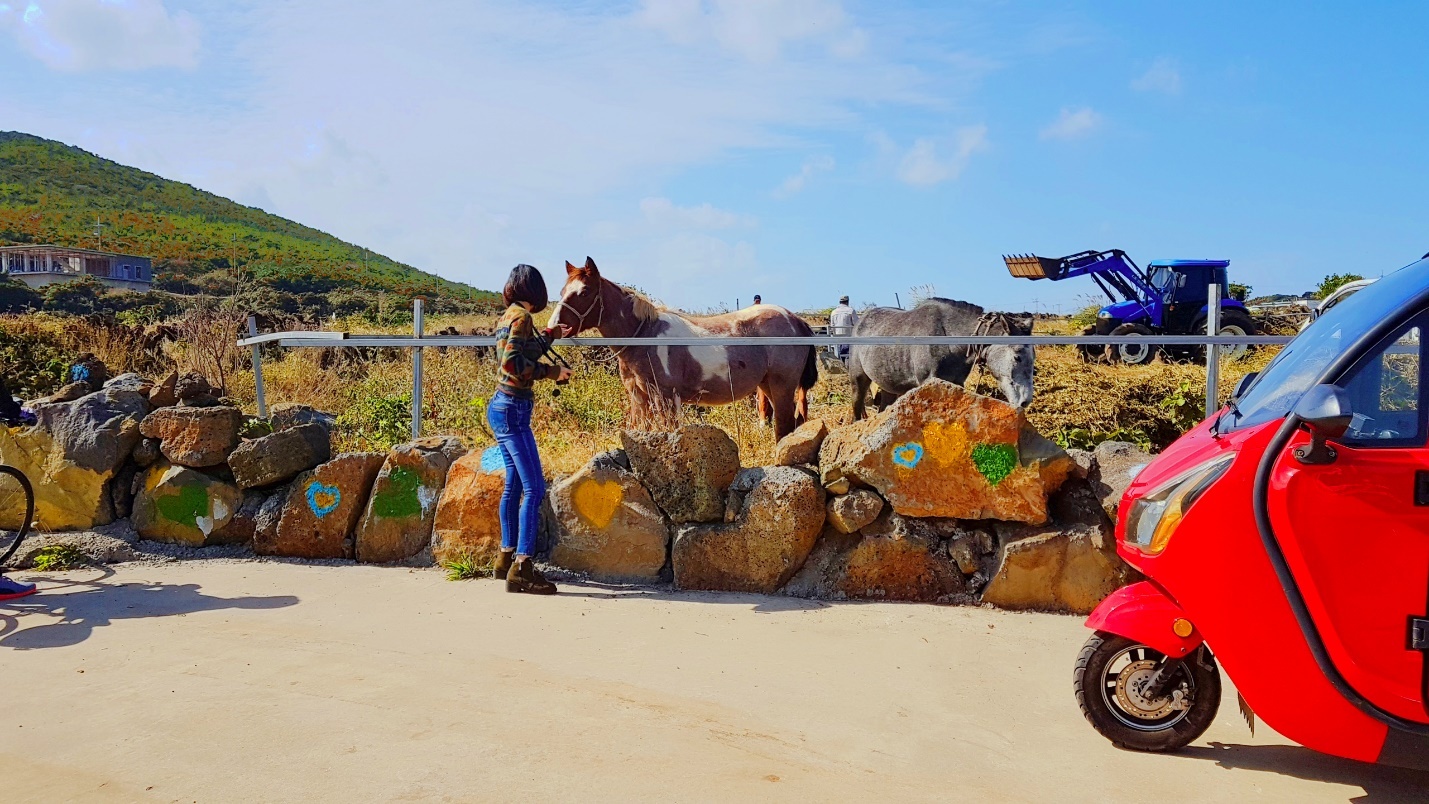 Trải nghiệm đảo Jeju Hàn Quốc ảnh 5 Trai nghiem dao Jeju Han Quoc anh 5