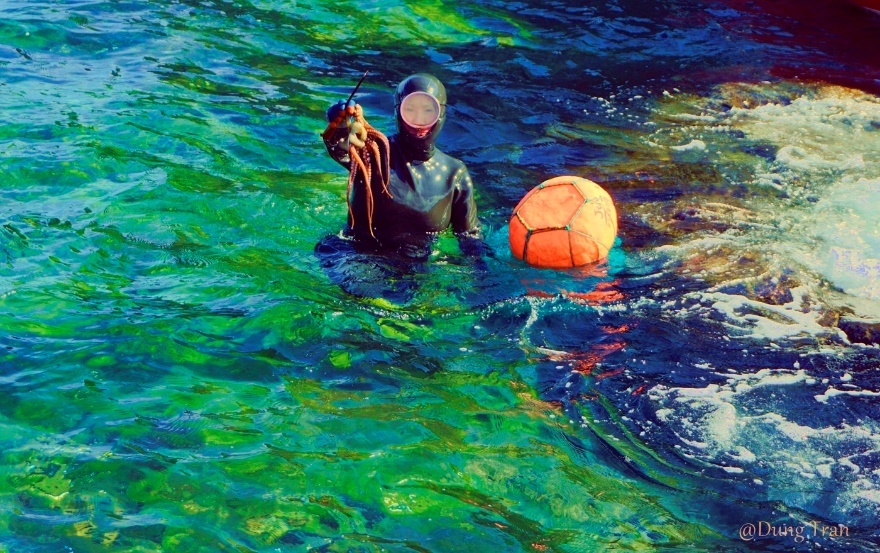 Trải nghiệm đảo Jeju Hàn Quốc ảnh 8 Trai nghiem dao Jeju Han Quoc anh 8