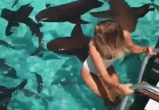 9 dia diem cho phep ban boi cung dong vat hinh anh