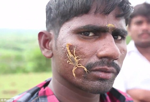 Le hoi o An Do anh 5