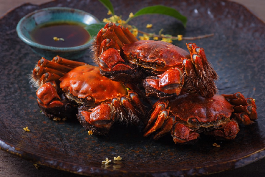 Dac san cua long phai thu khi den Thuong Hai mua thu anh 9