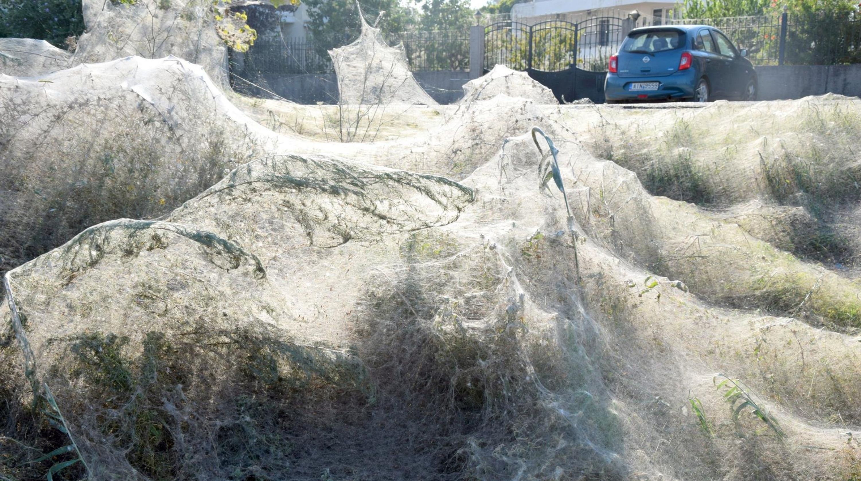 Mang nhen phu kin ca thi tran o Hy Lap hinh anh