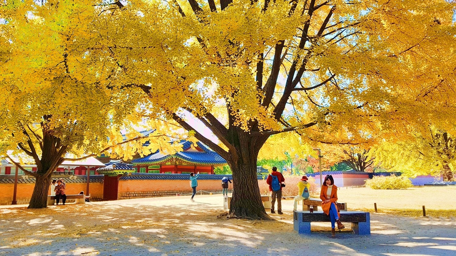 #Mytour: Trai nghiem mua thu Han Quoc dep nhu tranh cua co gai Viet hinh anh