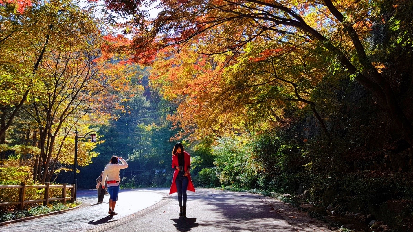 Trải nghiệm mùa thu Hàn Quốc ảnh 18 Trai nghiem mua thu Han Quoc anh 18