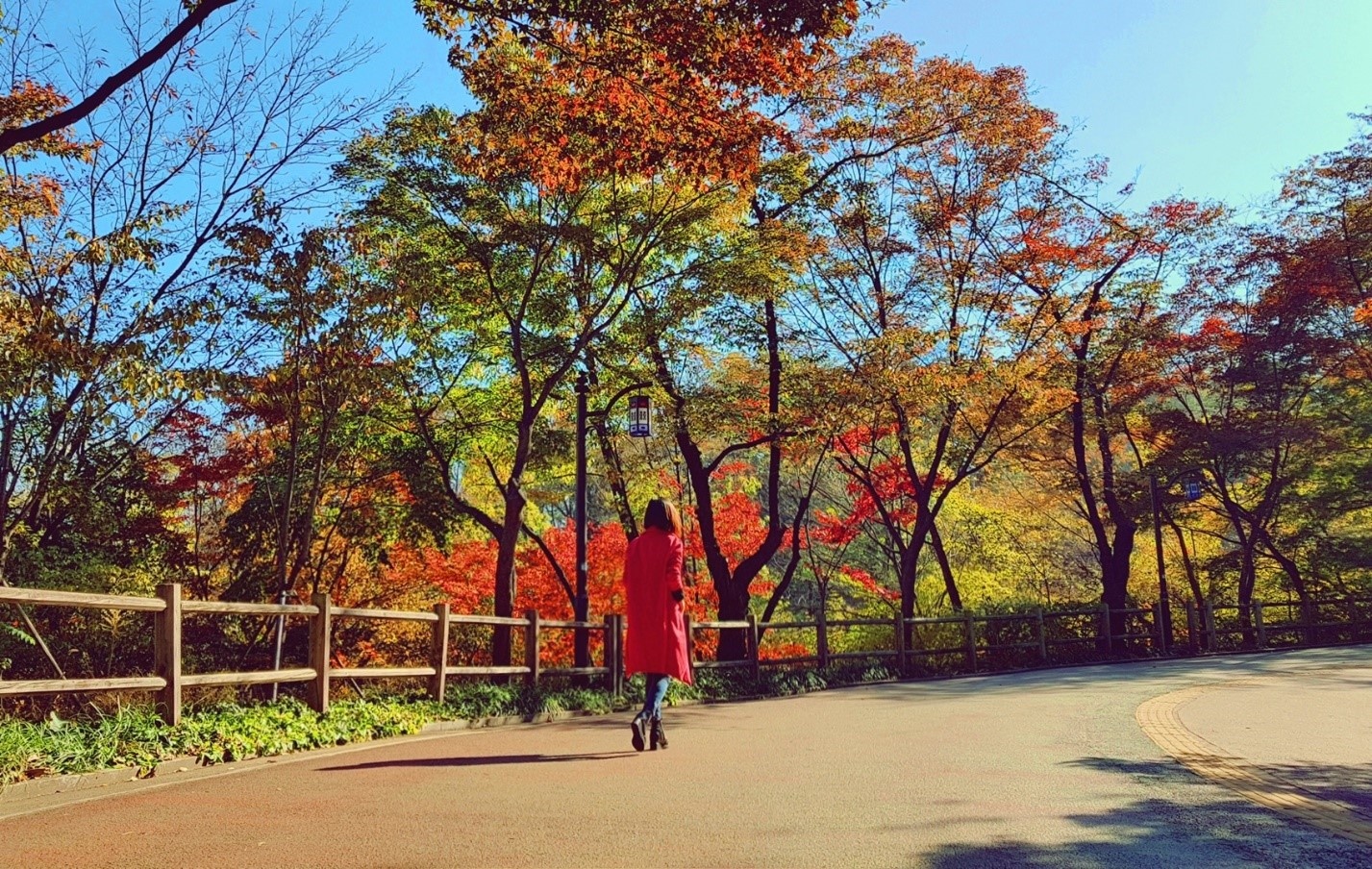 Trải nghiệm mùa thu Hàn Quốc ảnh 21 Trai nghiem mua thu Han Quoc anh 21