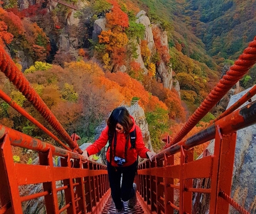 Trải nghiệm mùa thu Hàn Quốc ảnh 27 Trai nghiem mua thu Han Quoc anh 27