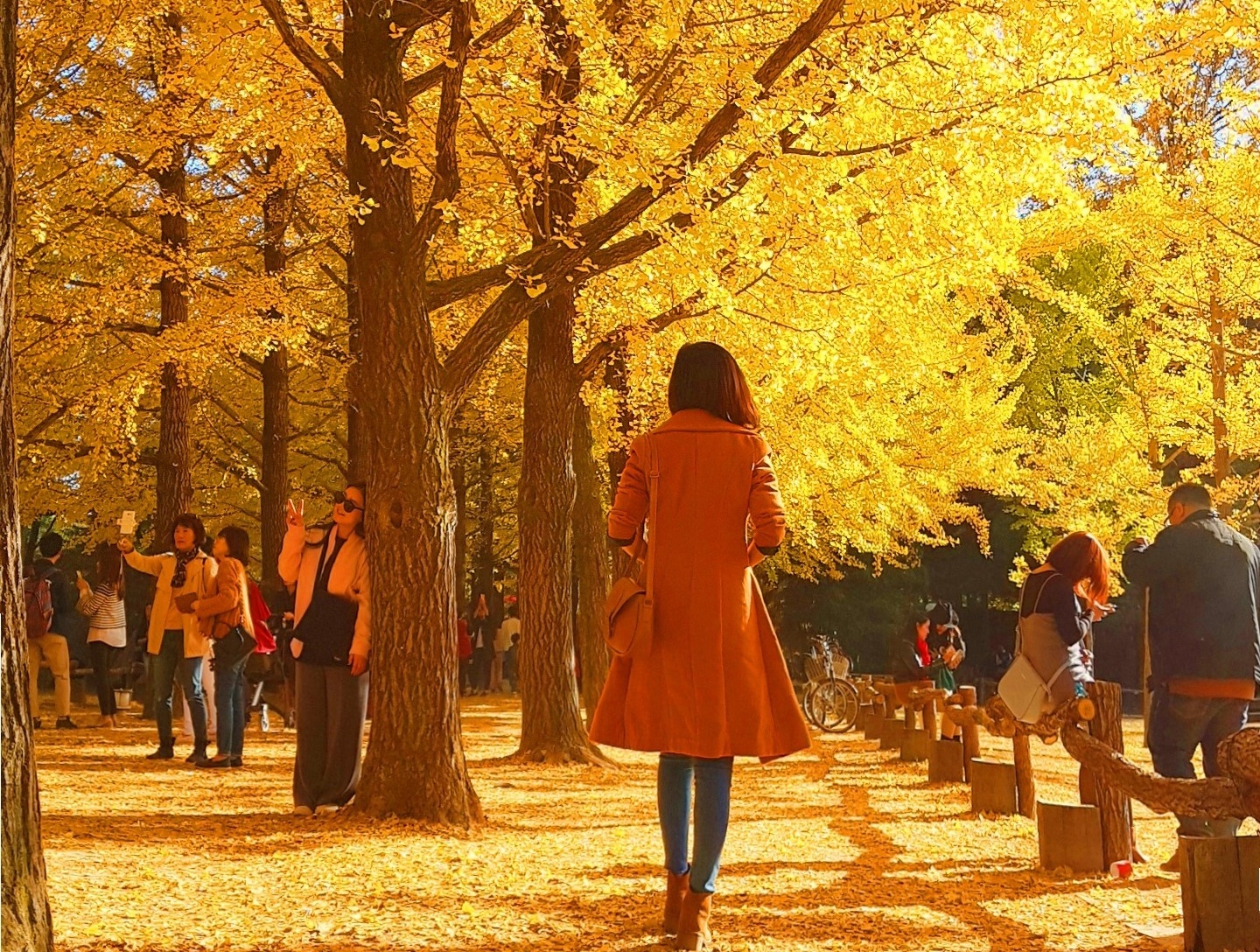 Trải nghiệm mùa thu Hàn Quốc ảnh 4 Trai nghiem mua thu Han Quoc anh 4