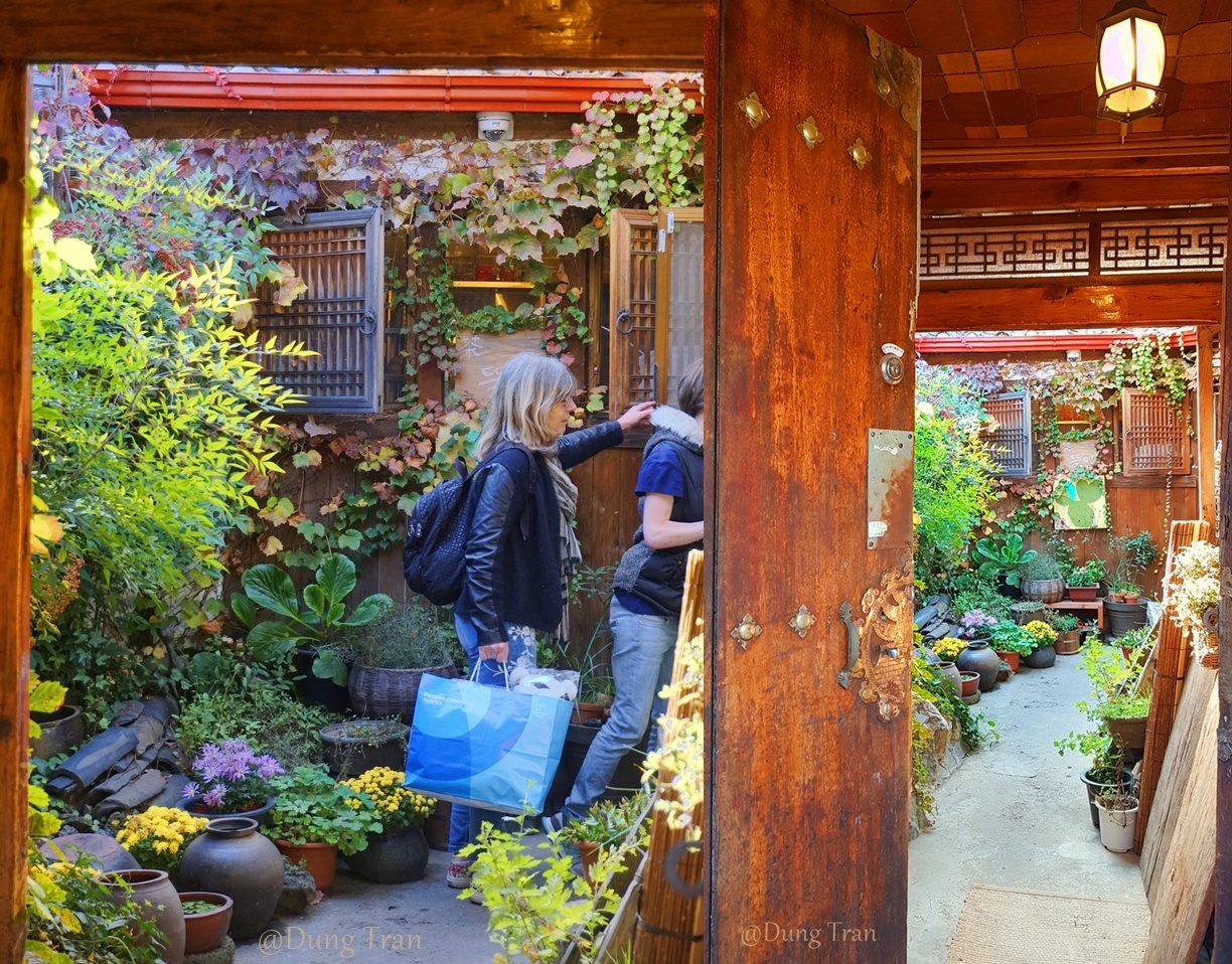 Trải nghiệm mùa thu Hàn Quốc ảnh 7 Trai nghiem mua thu Han Quoc anh 7