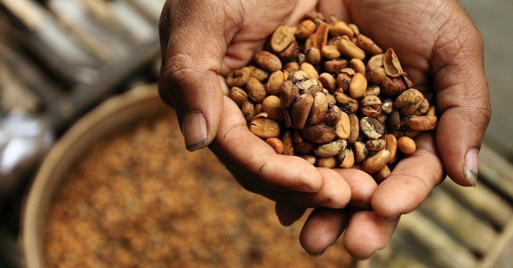 Nhung mon an khien du khach xanh mat trong bao tang Thuy Dien anh 11