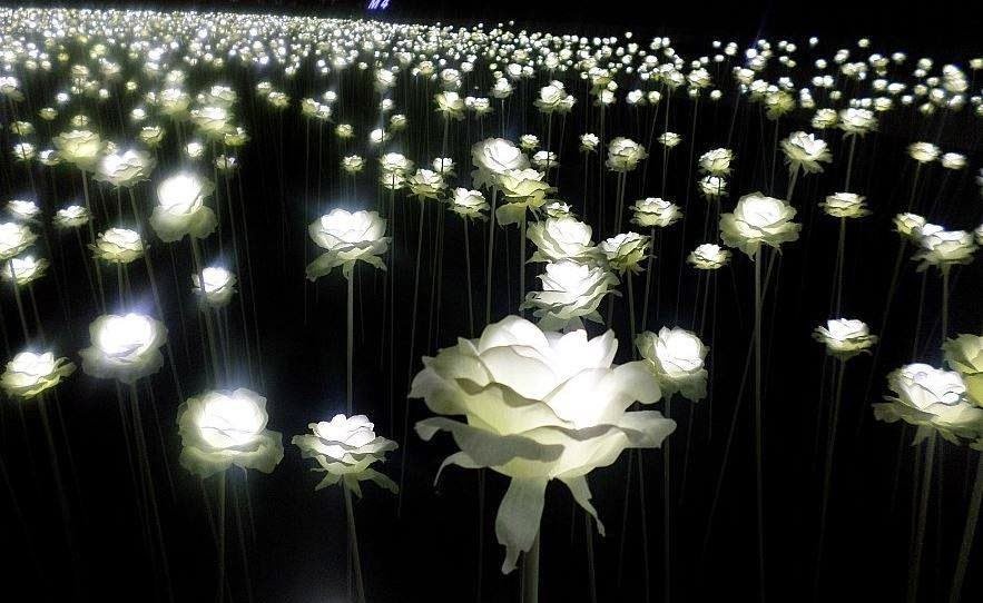 Trải nghiệm du lịch Hàn Quốc ảnh 16 Trai nghiem du lich Han Quoc anh 16