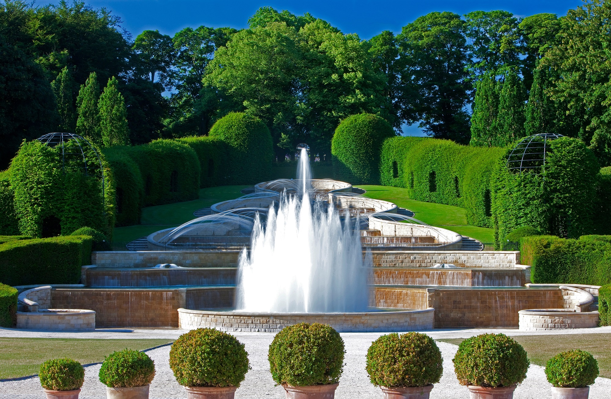 Bi mat phia sau khu vuon toan cay doc chet nguoi o Anh anh 6