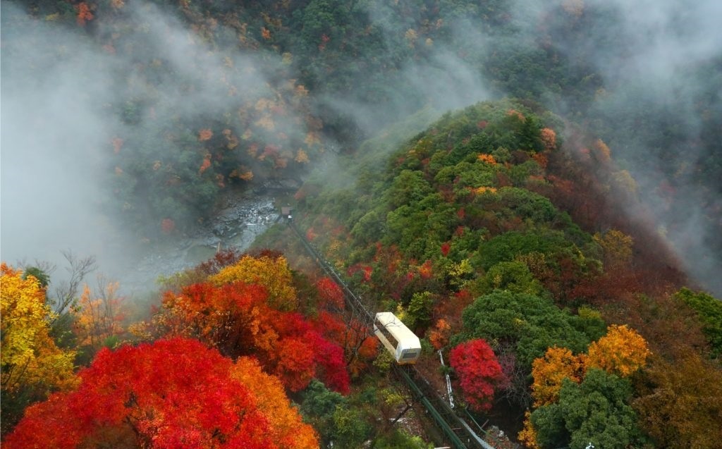 7 noi ngam canh thu dep me hon o Nhat Ban anh 18