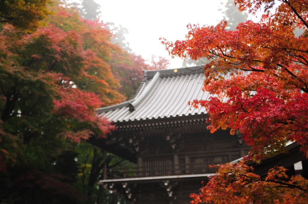 7 noi ngam canh thu dep me hon o Nhat Ban anh 6