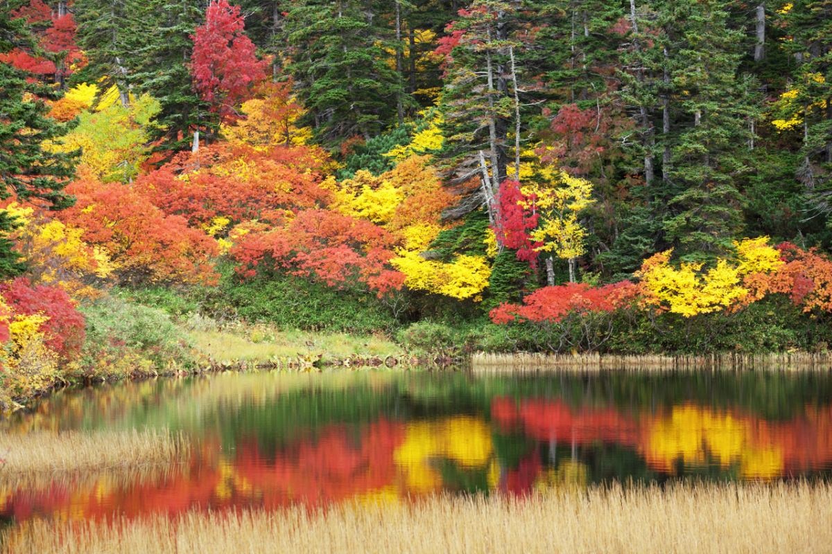 7 noi ngam canh thu dep me hon o Nhat Ban anh 8