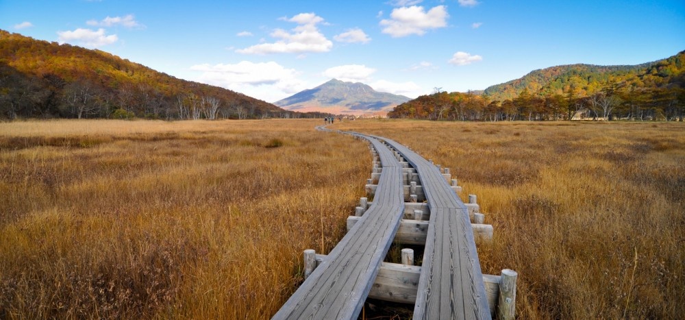 7 noi ngam canh thu dep me hon o Nhat Ban anh 11