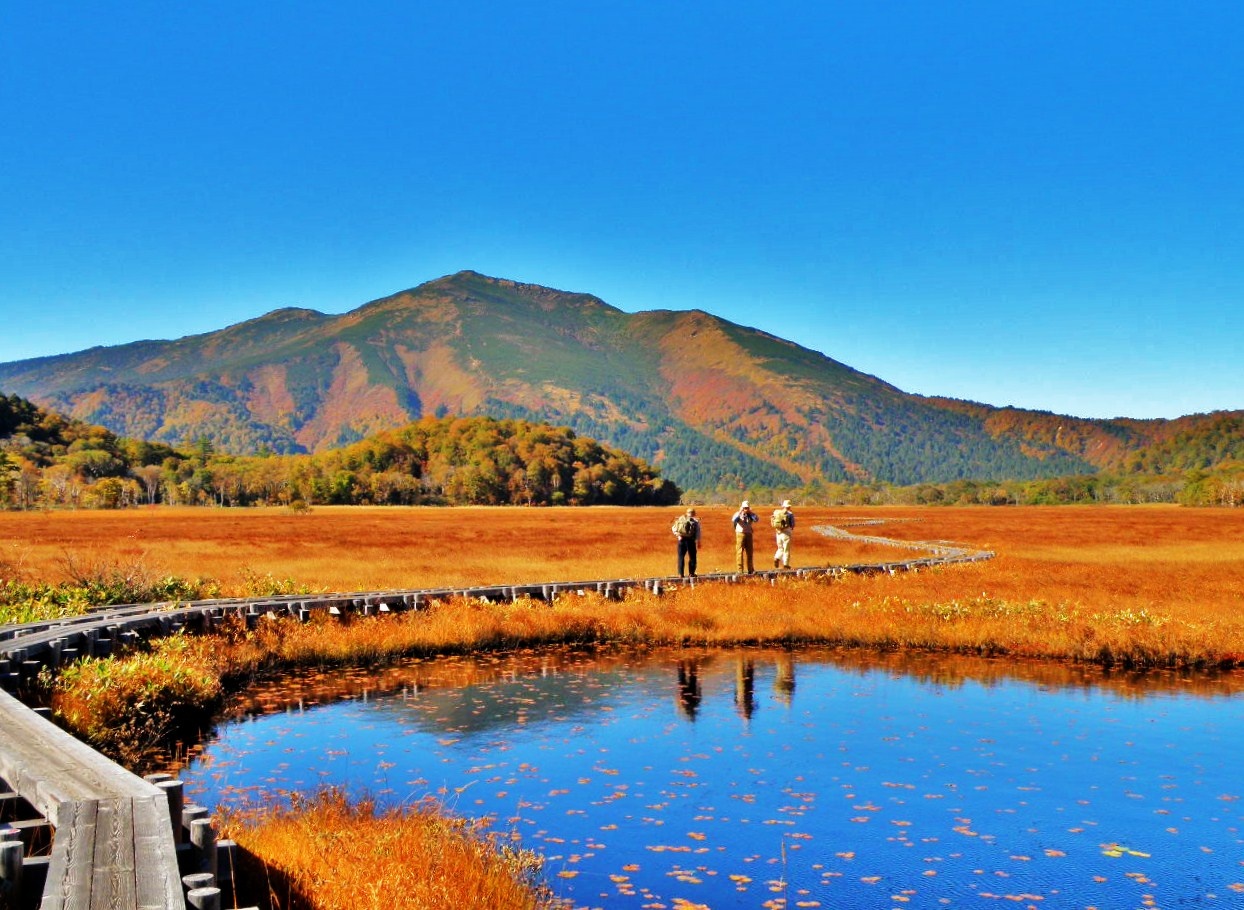 7 noi ngam canh thu dep me hon o Nhat Ban anh 12