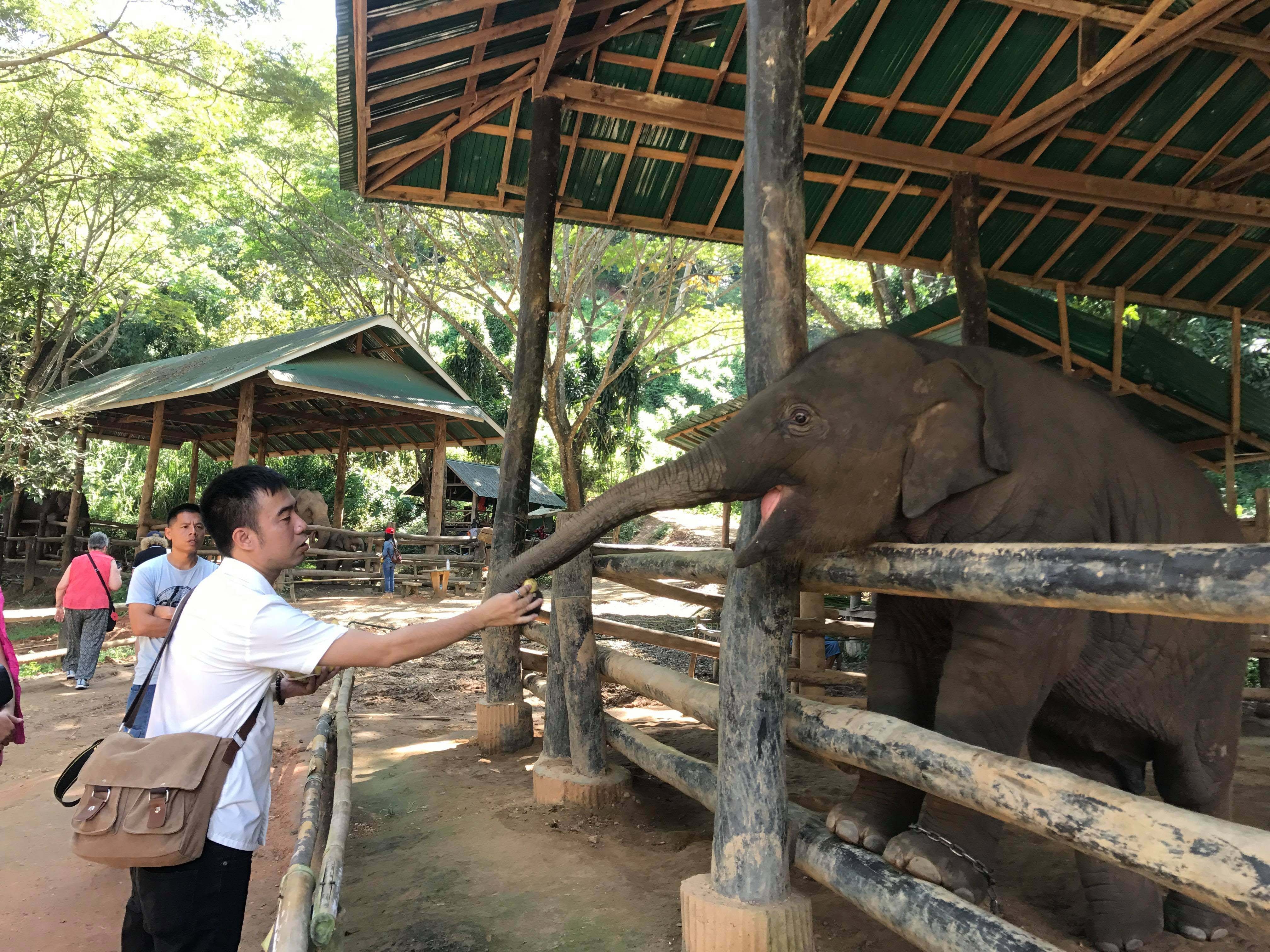 Review chuyến du lịch Chiang Mai ảnh 15 Review chuyen du lich Chiang Mai anh 15