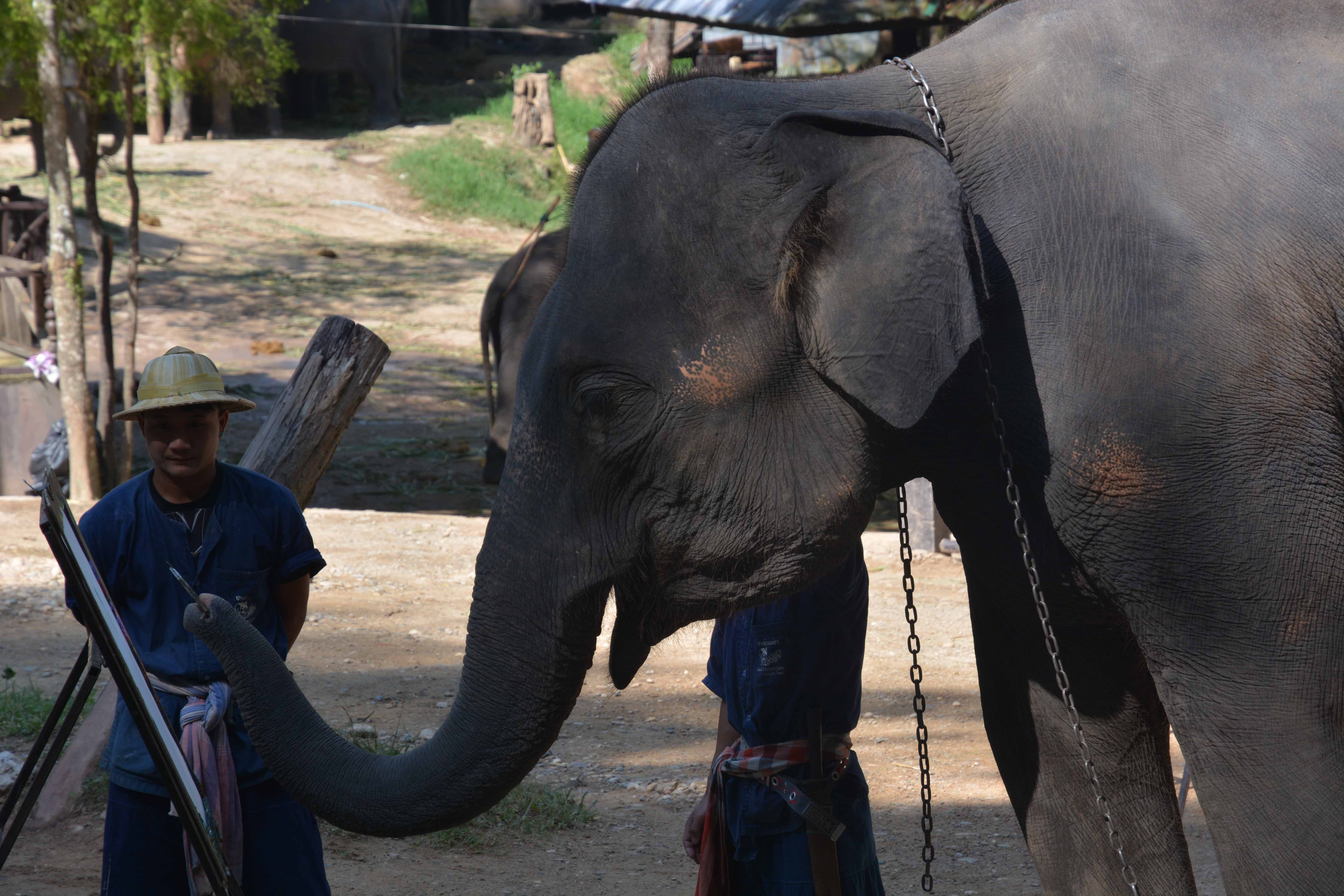 Review chuyen du lich Chiang Mai anh 13