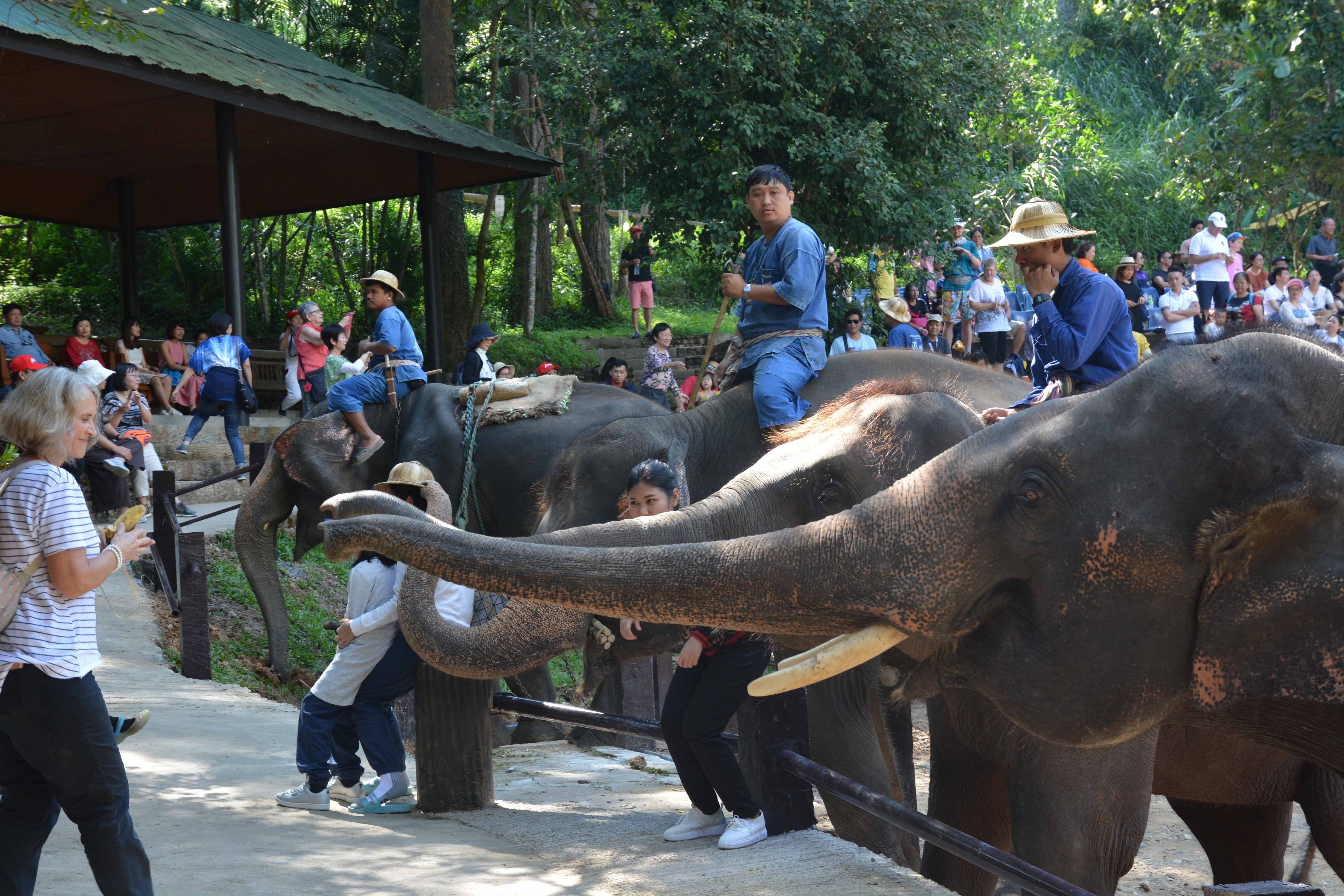 Review chuyen du lich Chiang Mai anh 14