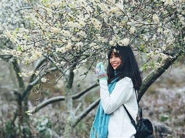 Nhieu tour du lich giam gia manh trong dip Tet hinh anh