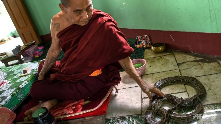 Ngôi chùa chuyên nuôi trăn khiến du khách xanh mặt ở Myanmar ảnh 7 Ngoi chua chuyen nuoi tran khien du khach xanh mat o Myanmar anh 7