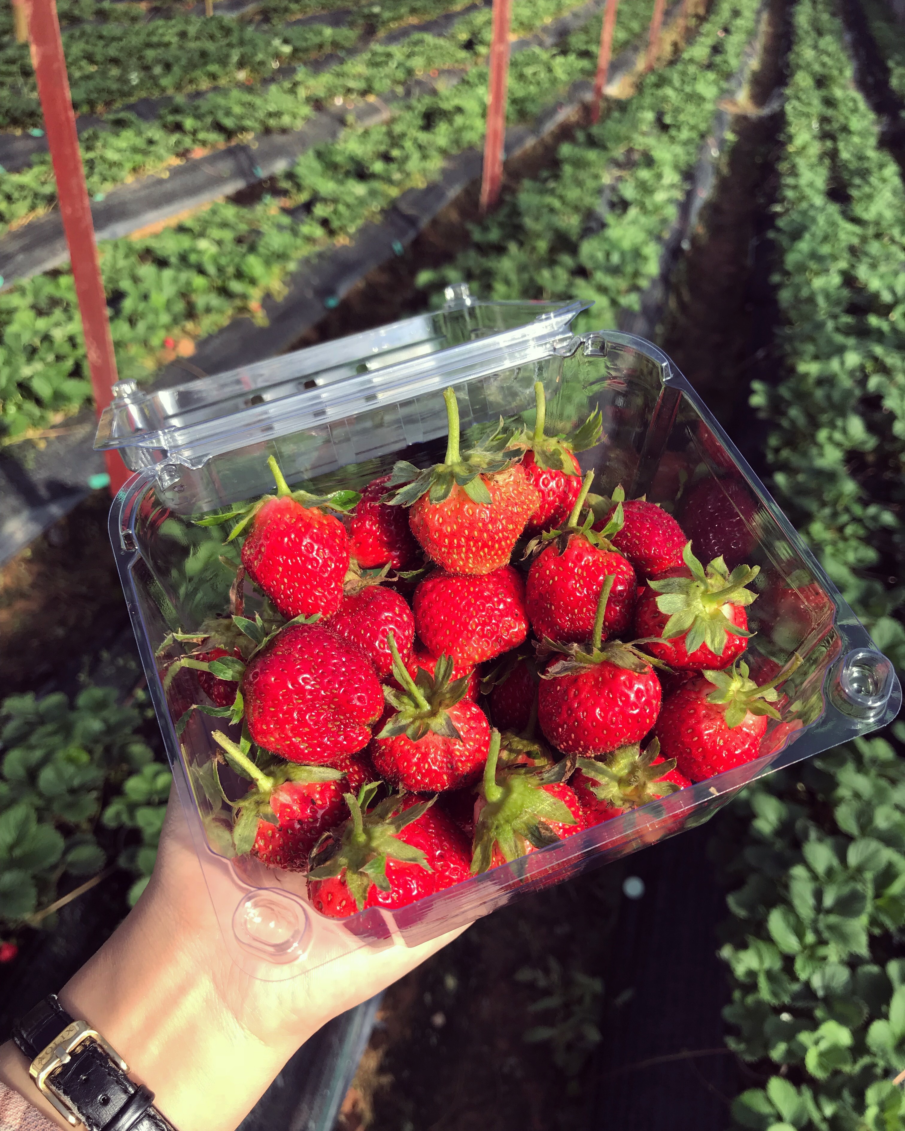 Review chuyen du lich Da Lat anh 21