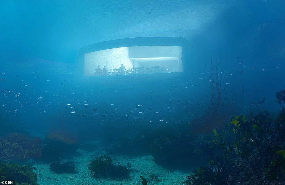 Nha hang duoi nuoc lon nhat the gioi anh 1