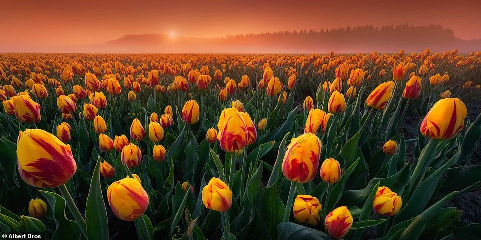 Giai thuong nhiep anh toan canh 2018 anh 18