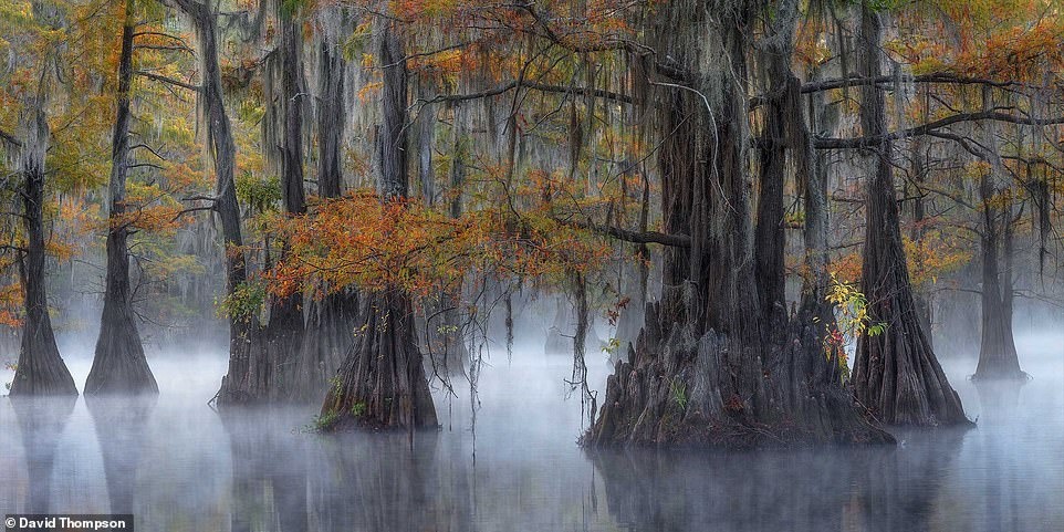 Giai thuong nhiep anh toan canh 2018 anh 6