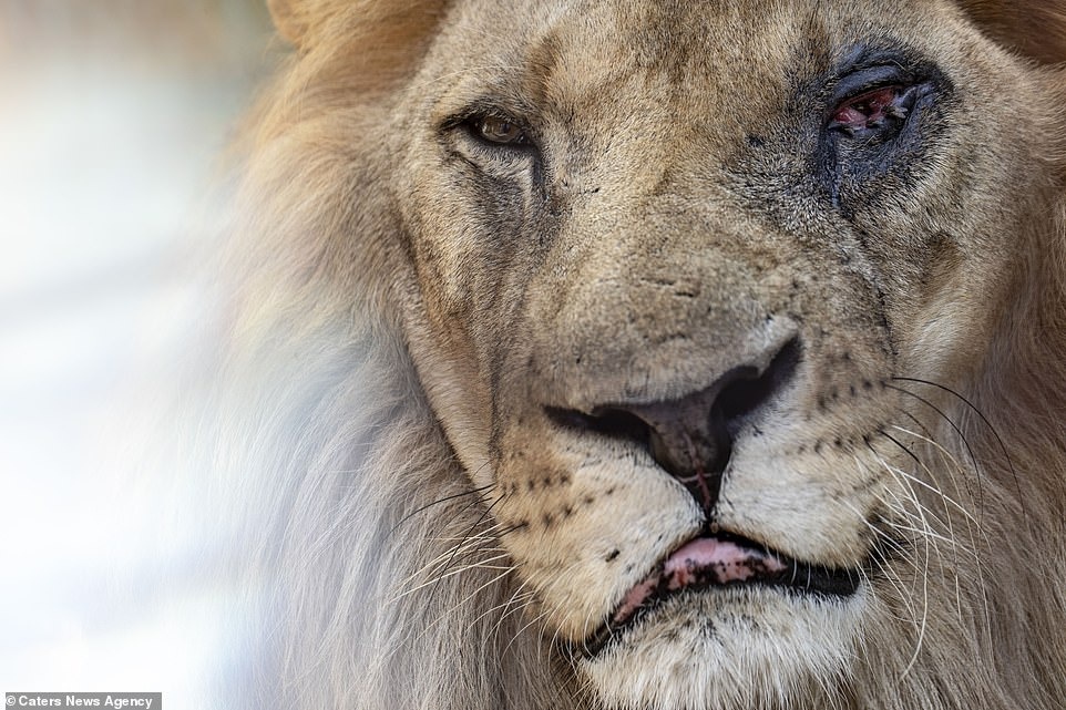 Vuon thu dia nguc o Albania anh 2