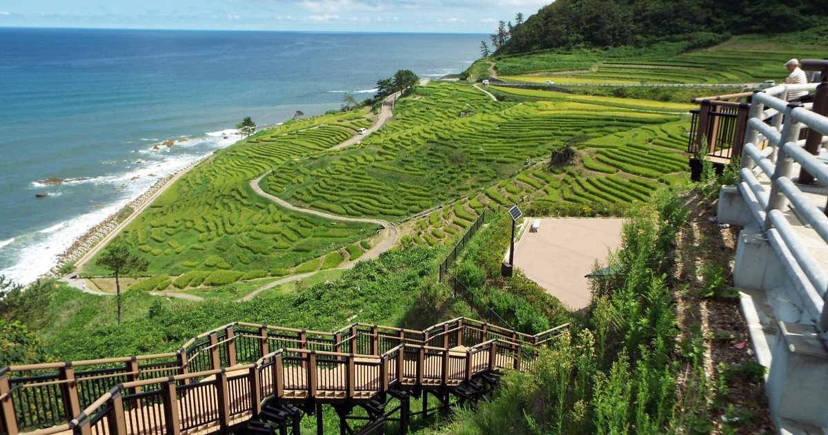 10 diem den tuyet dep it nguoi biet o Nhat Ban anh 1