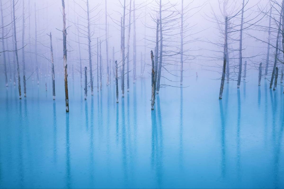 10 diem den tuyet dep it nguoi biet o Nhat Ban hinh anh