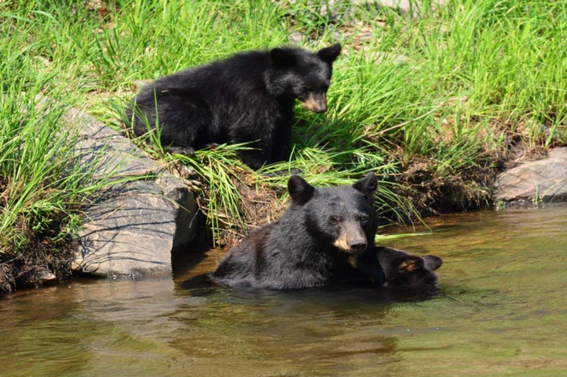 Nhung noi selfie nguy hiem nhat the gioi anh 11